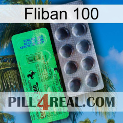 Fliban 100 new04